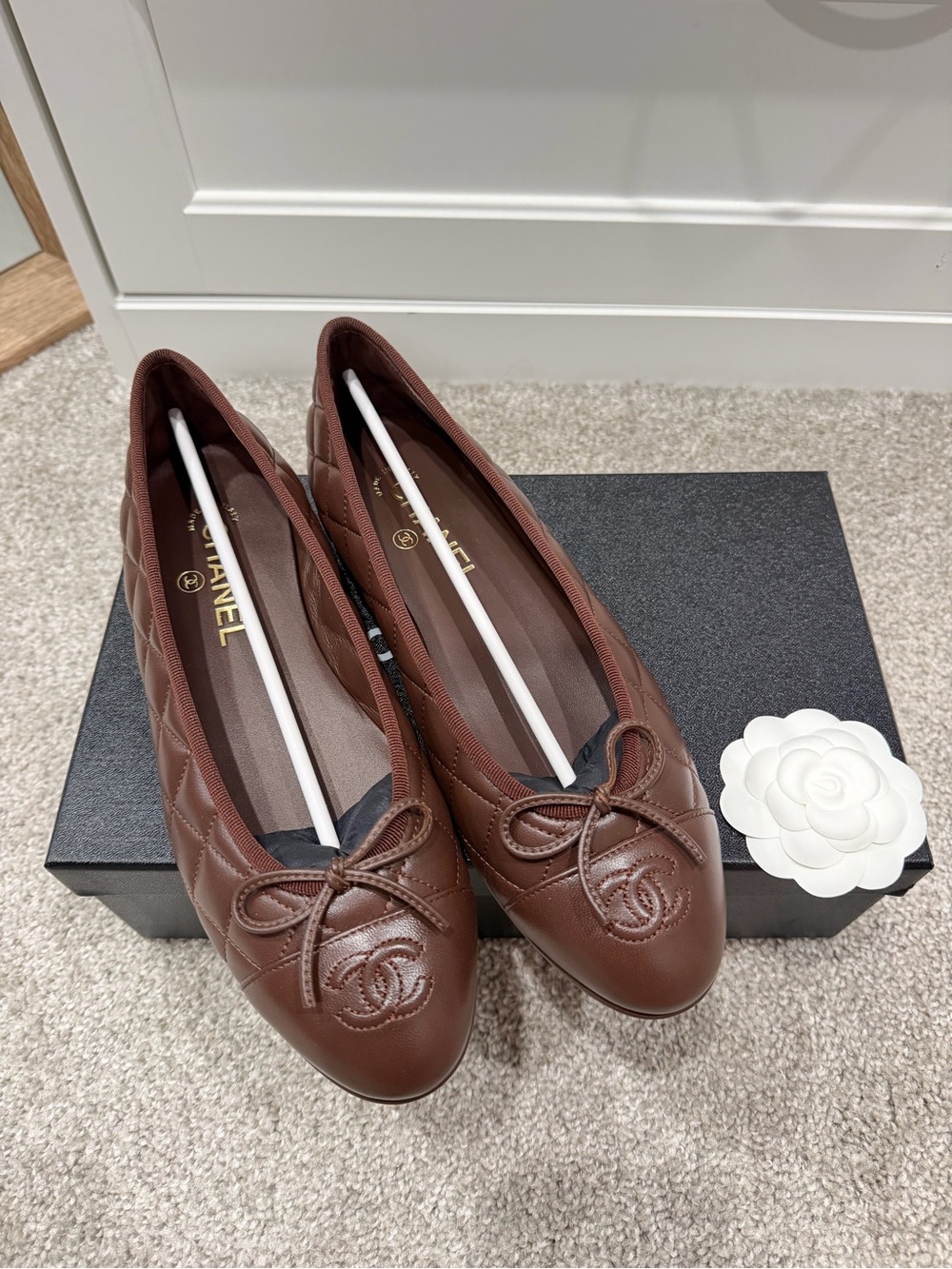 CHANEL Ballet Flats Dark Brown 39 Brand New